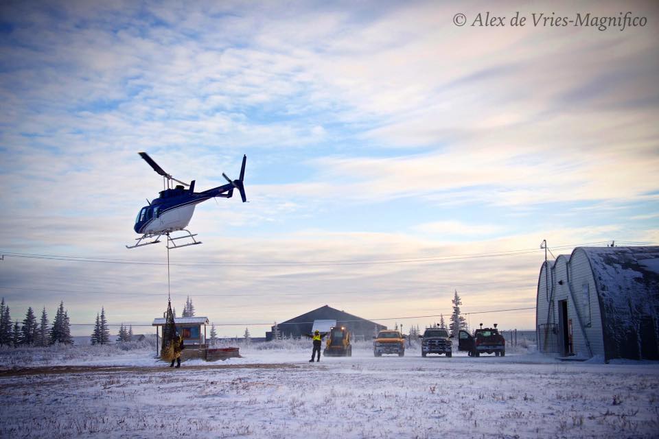 polar bear liftChurchill, Manitoba
