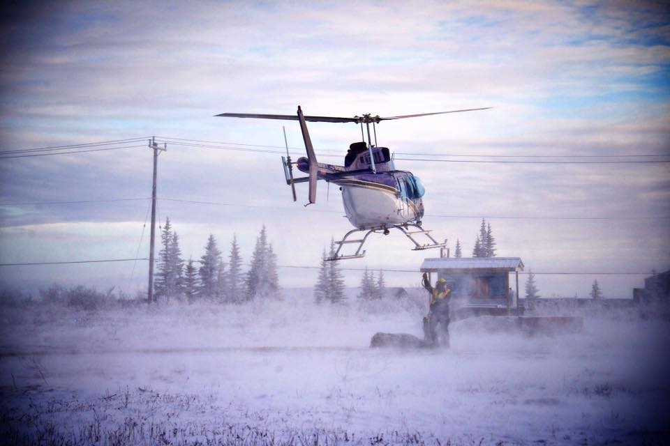 polar bear lift churchill, Manitoba