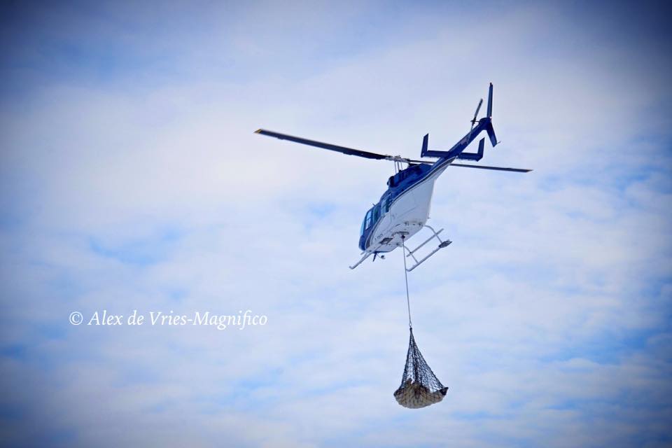 polar bear lift Churchill, Manitoba