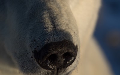 Churchill Sunday Photo