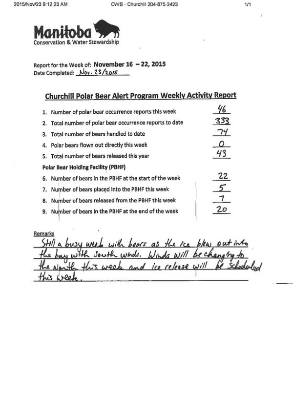 Weekly Manitoba Conservation polar bear statistics.