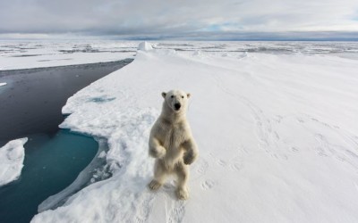 Happy 2016 from churchill.fru.qa