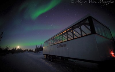 Churchill Sunday Photo – Aurora Pod