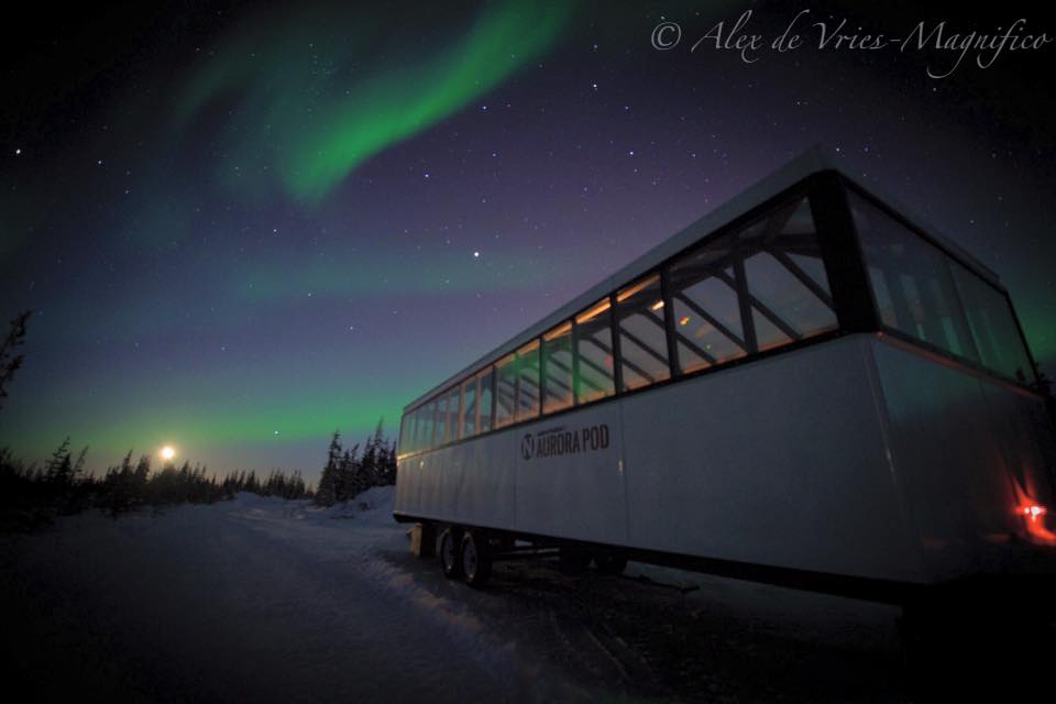 Churchill Northern lights and Aurora Pod