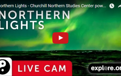 Live Northern Lights Q and A Friday at 5pm ET – Explore.org