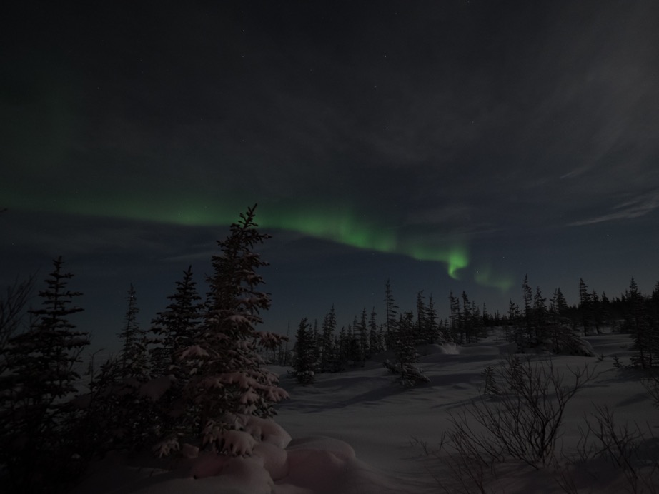northern lights in Churchill