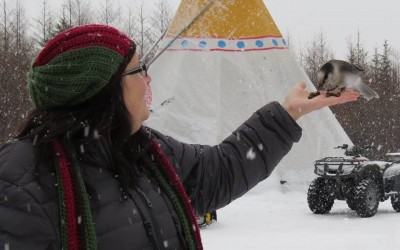 Churchill Photo of the Week