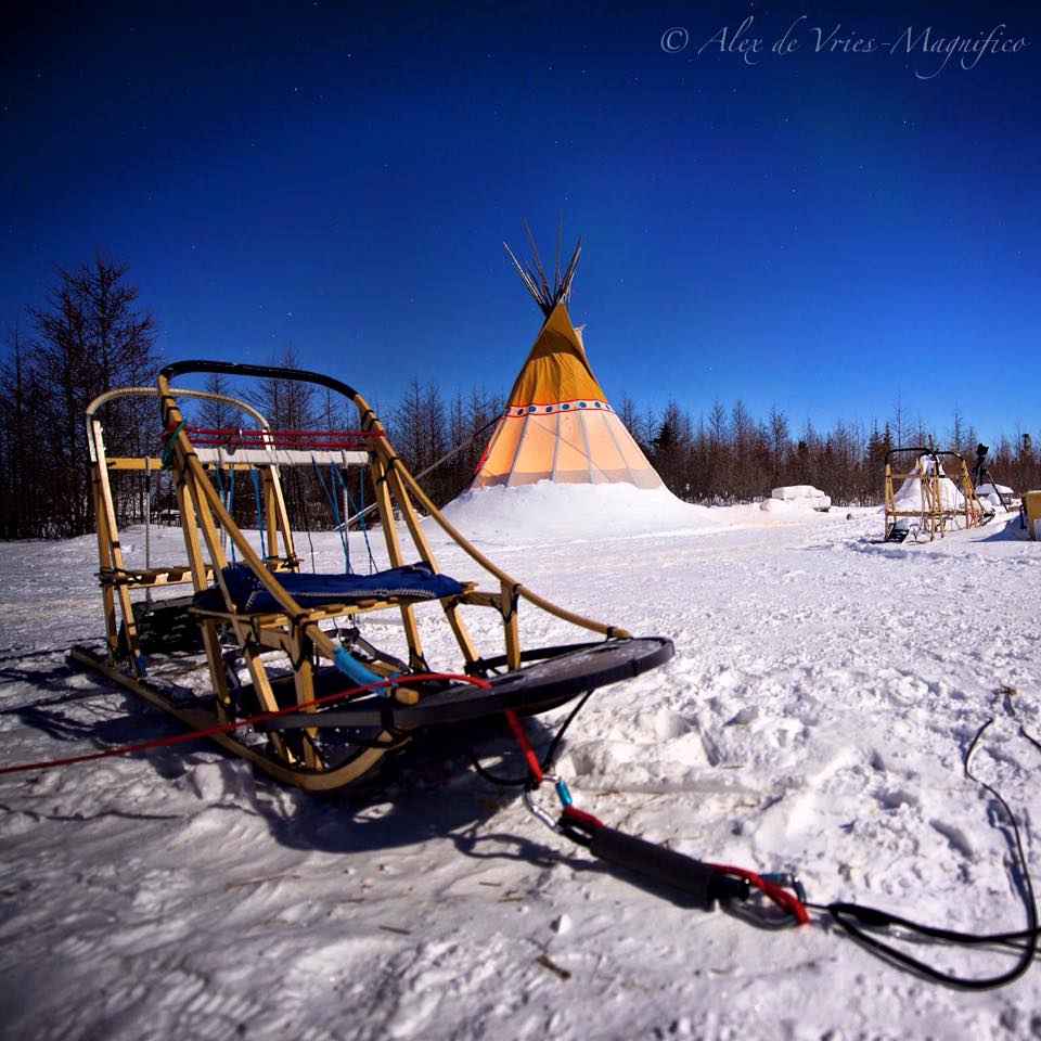 wapusk dog yard Churchill
