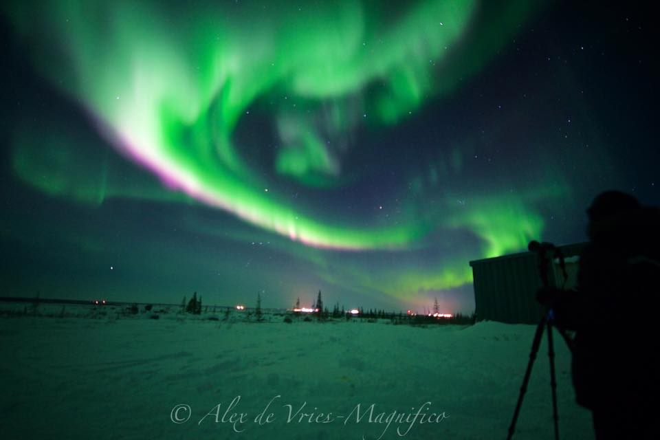 northern lights in Churchill, Manitoba