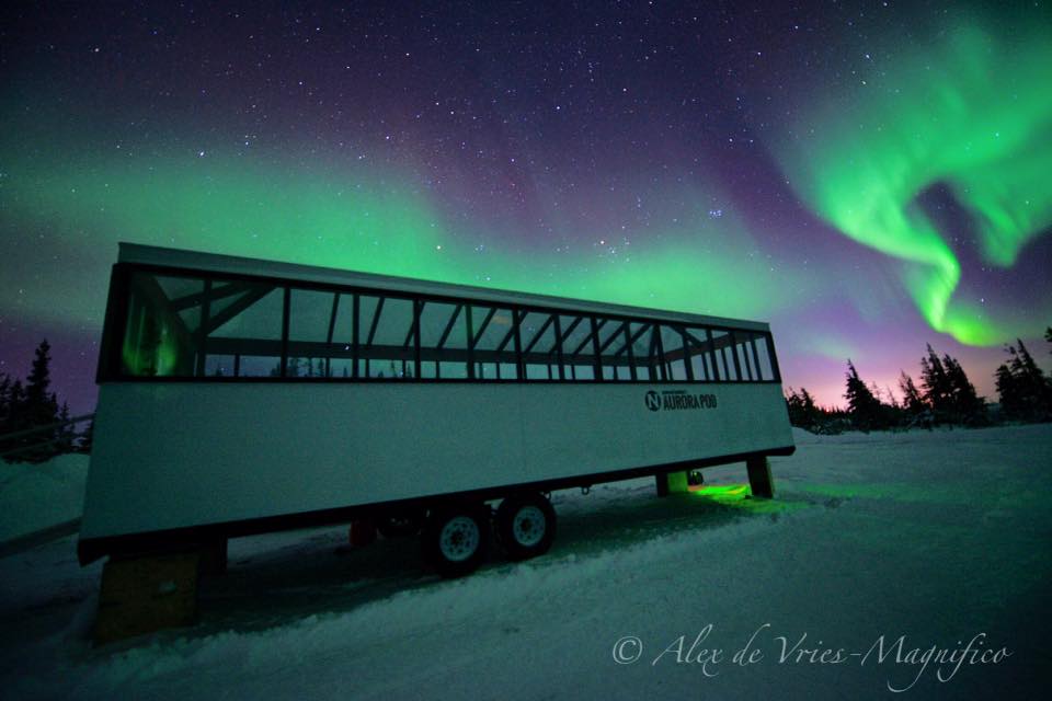 Northern lights aurora pod churchill, manitoba