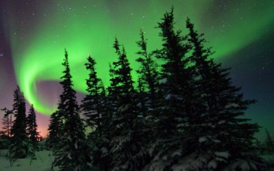 Sizzling Hot Churchill Northern Lights Photos