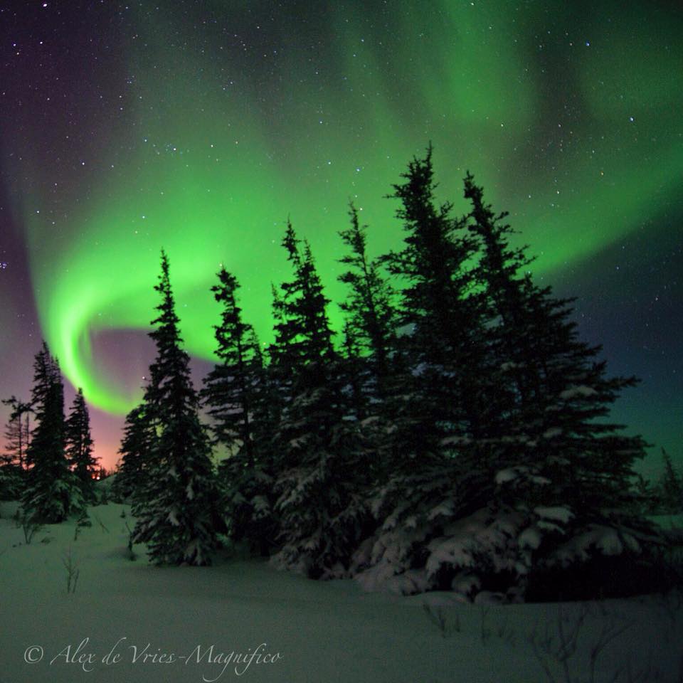 Northern lights in Churchill, Manitoba