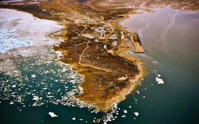 Churchill Photo of the Week – Arctic Summer