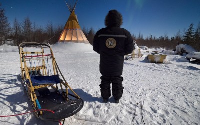 Churchill Field Notes and Photos