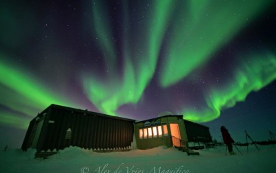 Churchill Field Notes -Northern Lights Photos