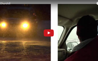 Churchill Video of the Week