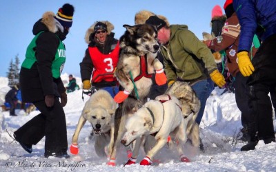 Hudson Bay Quest Returns in 2019