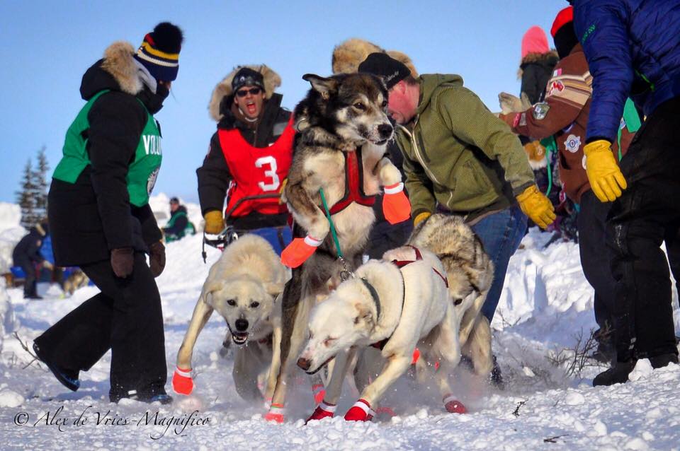 Hudson Bay Quest start line Churchill, Manitoba