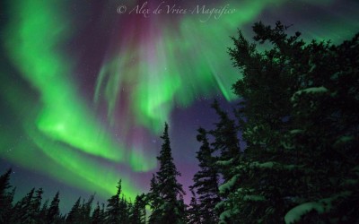 Northern Lights Season Highlight Photos