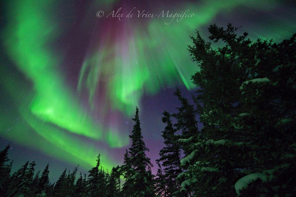 Northern lights Churchill, Manitoba