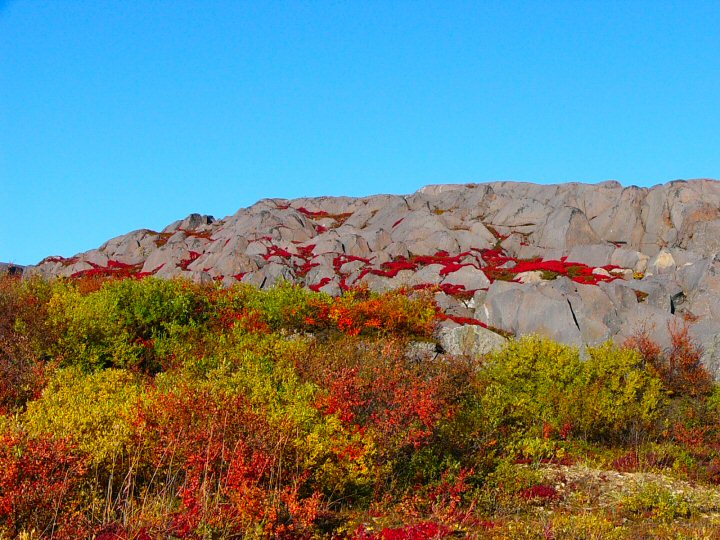 Precambrian shield in Churchill.