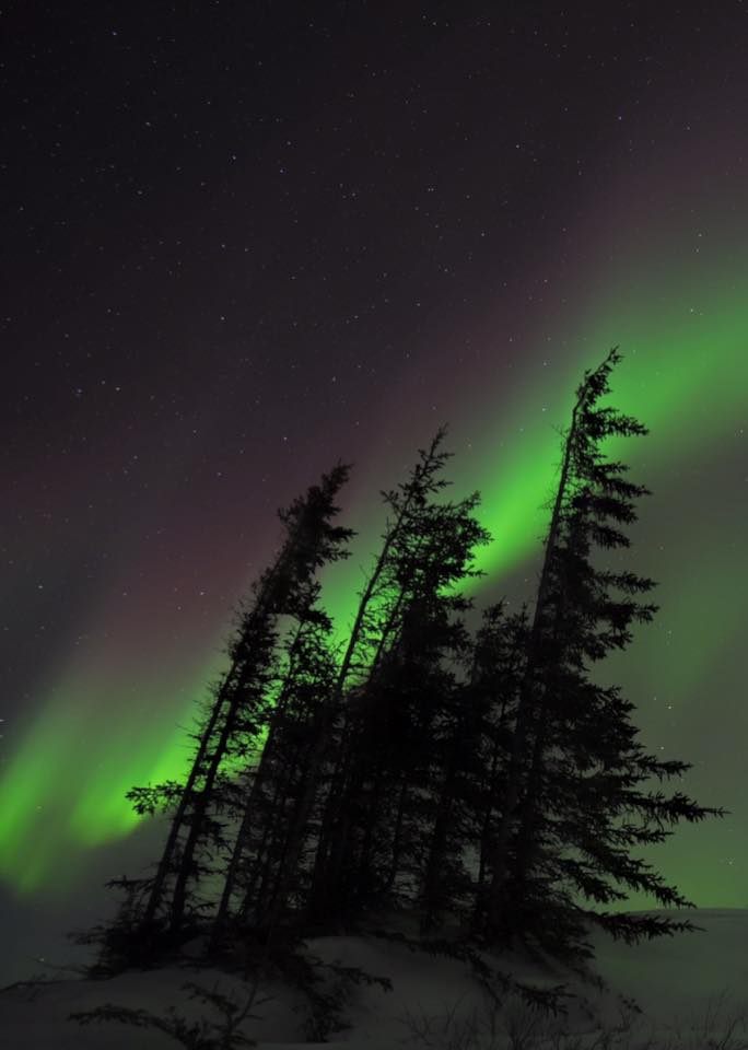 northern lights above the churchill, Manitoba boreal forest