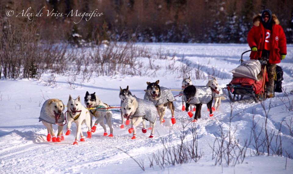 Hudson Bay Quest Churchill, Manitoba