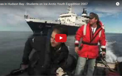 Churchill Video of the Week – Orcas