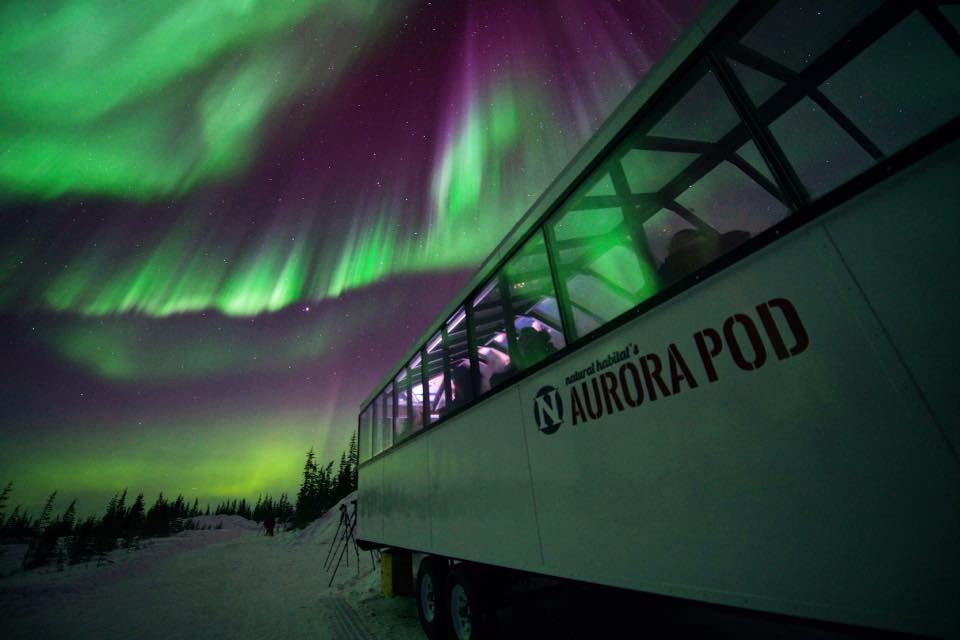 Northern lights in Churchill, Manitoba