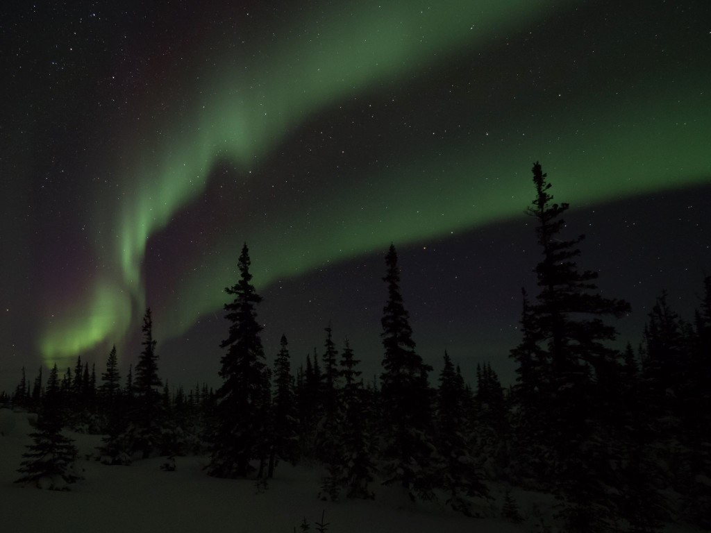 aurora borealis churchill manitoba