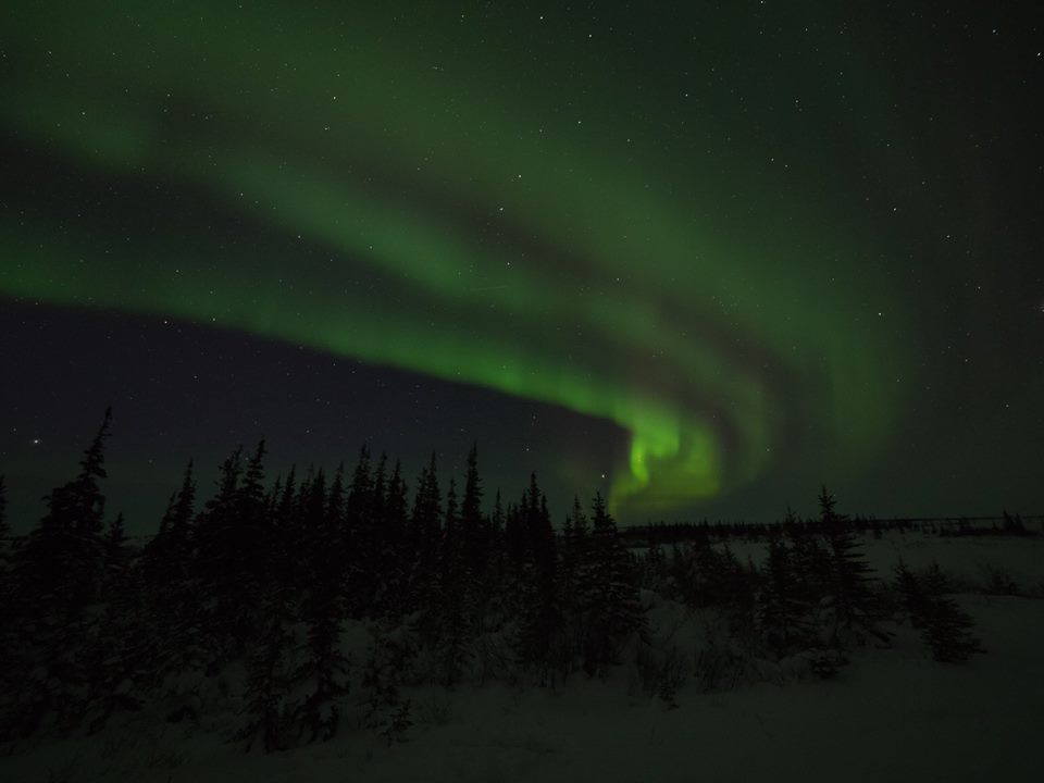 Northern lights in Churchill.