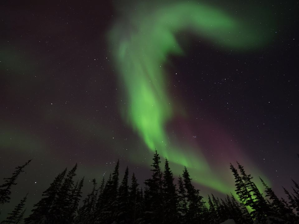 Aurora borealis in Churchill