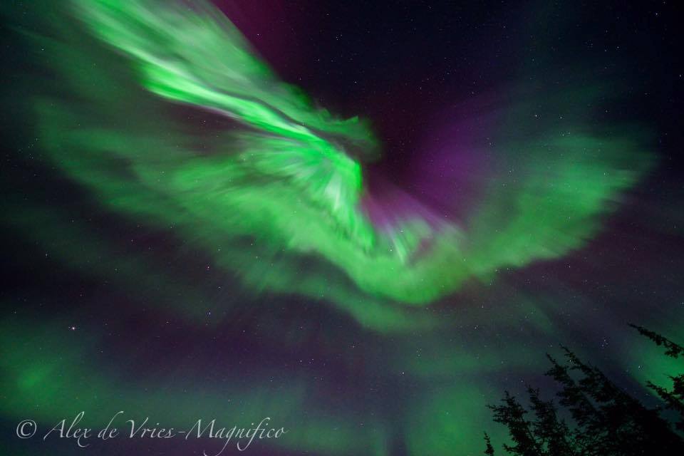 Northern Lights in Churchill, Manitoba.