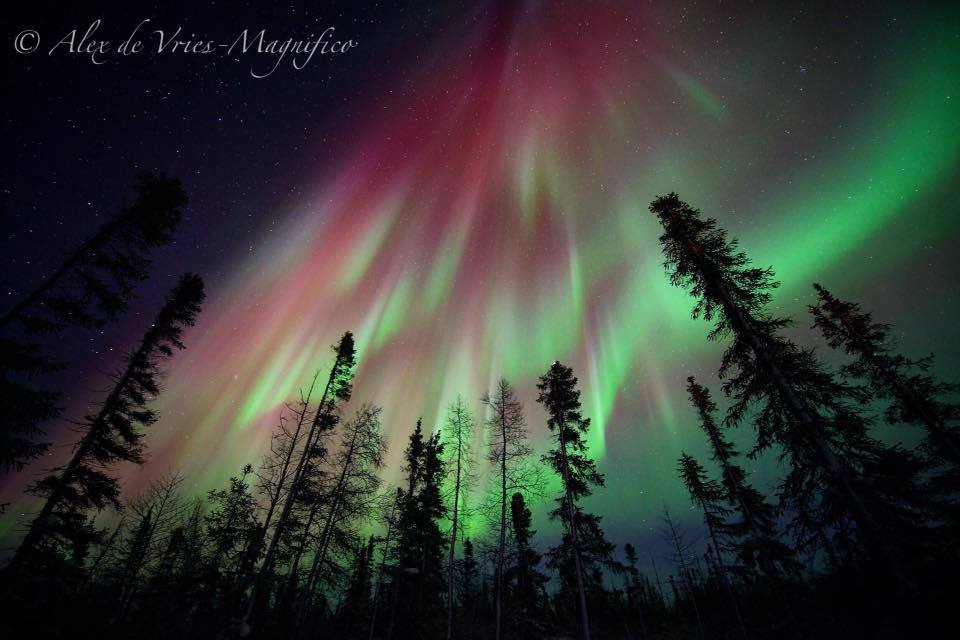 Northern lights in Churchill, Manitoba