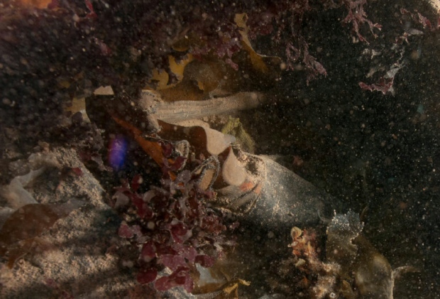 Erebus crewman's boot