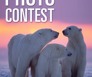 Last Chance to Enter Wildlife Photo Contest