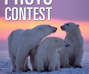 2016 Wildlife Photography Contest