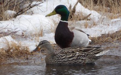 Churchill Sunday Photos