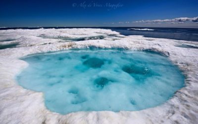 Churchill Photos of the Week – Blue Ice