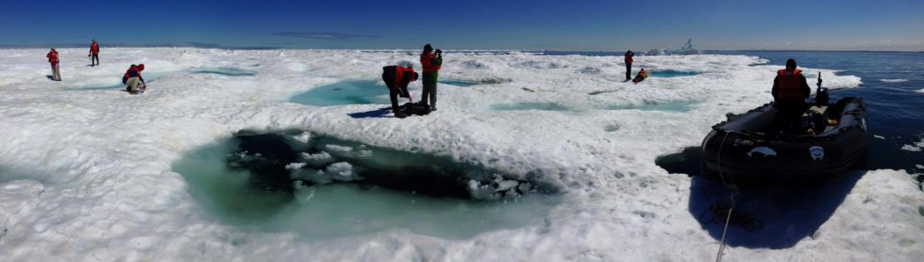 Ice floes in Churchill, Manitoba