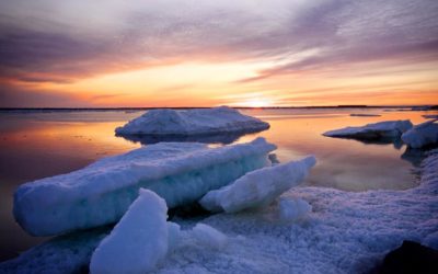 Happy Summer Solstice from Churchill