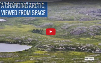 Churchill Video – The Greening of the Arctic