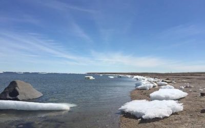 Churchill Sunday Photo – Summer