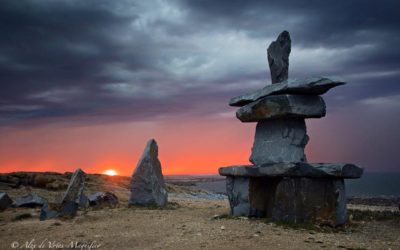 Churchill Photos of the Week