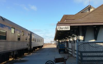 Top 13 Hudson Bay Railroad Facts -1910 Video