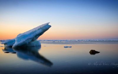Churchill Sunday Photos – Ice Floe