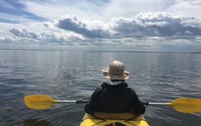 Churchill Arctic Summer Photo