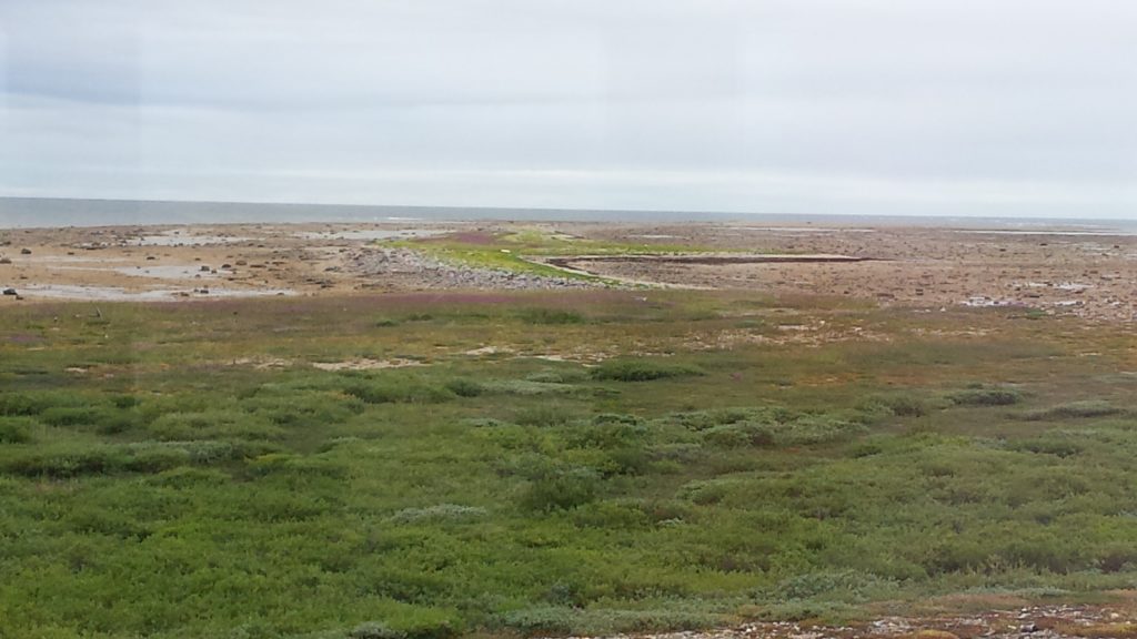 Churchill, Mnitoba coastal plain