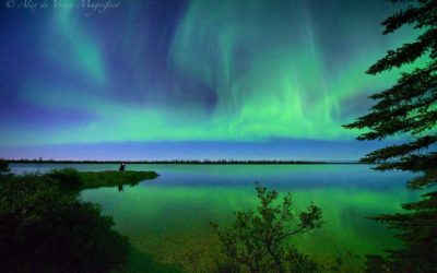 Churchill Northern Lights – Dream Photo