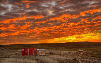 Churchill Photo of the Week